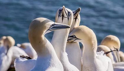 爱游戏真人体育娱乐-青年运动员成长环境持续优化，青年运动员成长环境持续优化措施