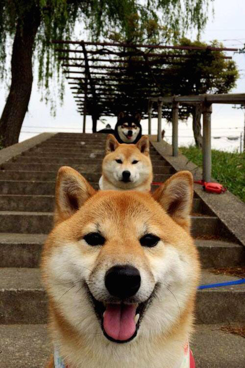 “长局大战,投手与击球手的极限对决,谁能笑到最后?”,投球手接杀