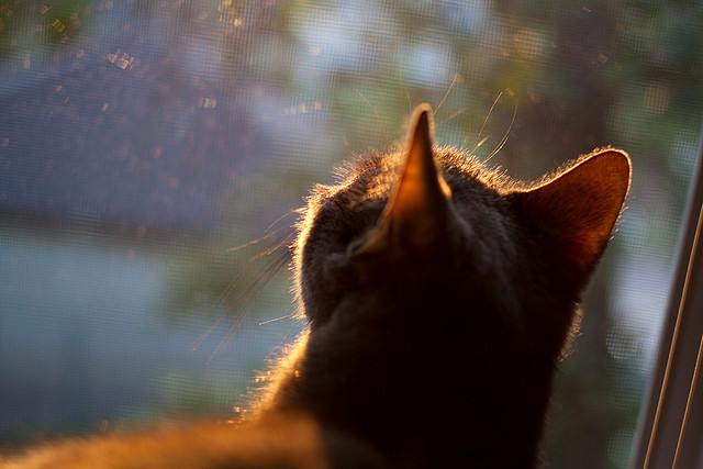 AIYOUXI.COM-小组赛激战正酣：不可错过的精彩比赛分析，小组赛比赛顺序