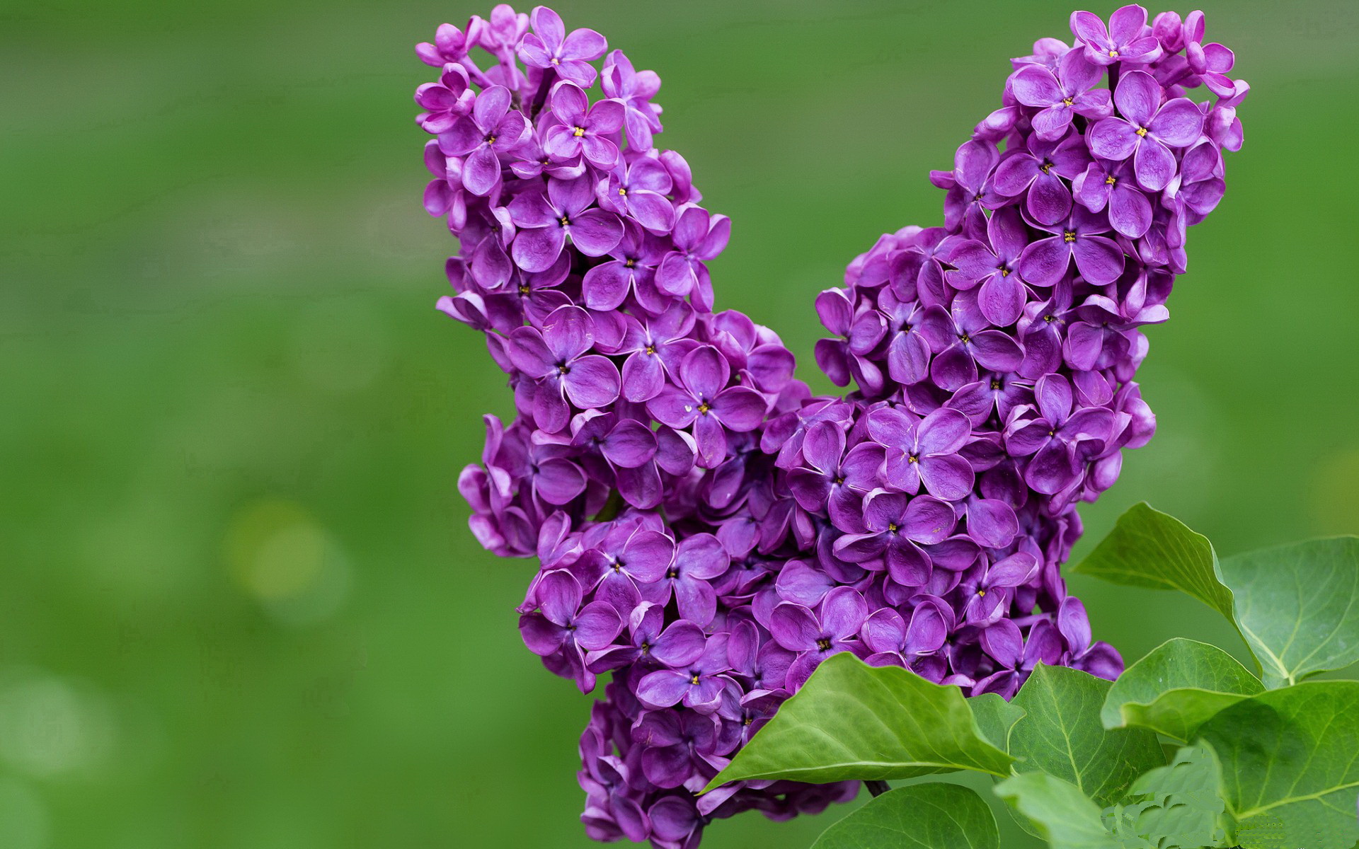 积分榜最新:争夺欧冠、降级区的格局逐步清晰,欧冠积分版