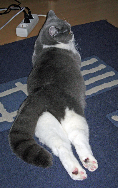 爱游戏体育（AYX）官方APP下载-篮球青少年比赛裁判员培训体系完善，2021篮球裁判员培训报名