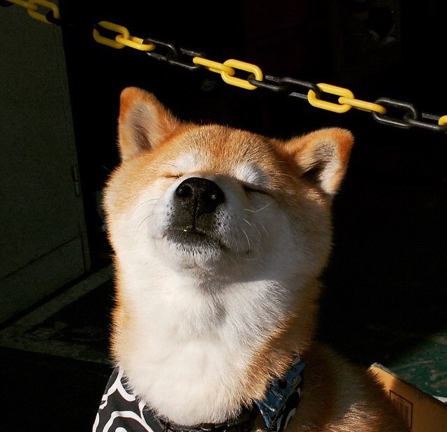 AYX体育-弗拉门戈篮板球争夺激烈，弗拉门戈球衫堂