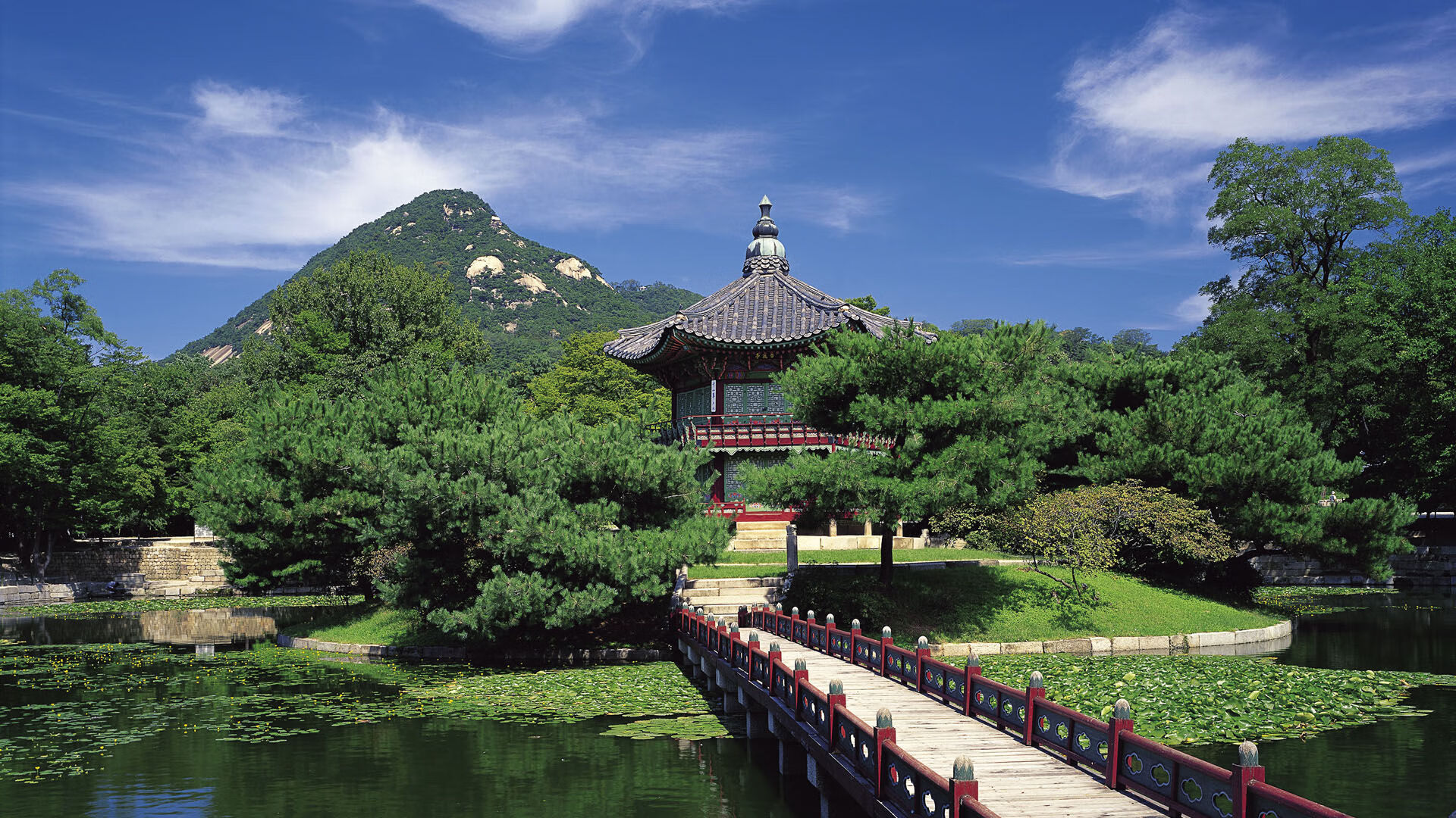 本土球员技术风格是否太过单一化，本土球员技术风格是否太过单一化了