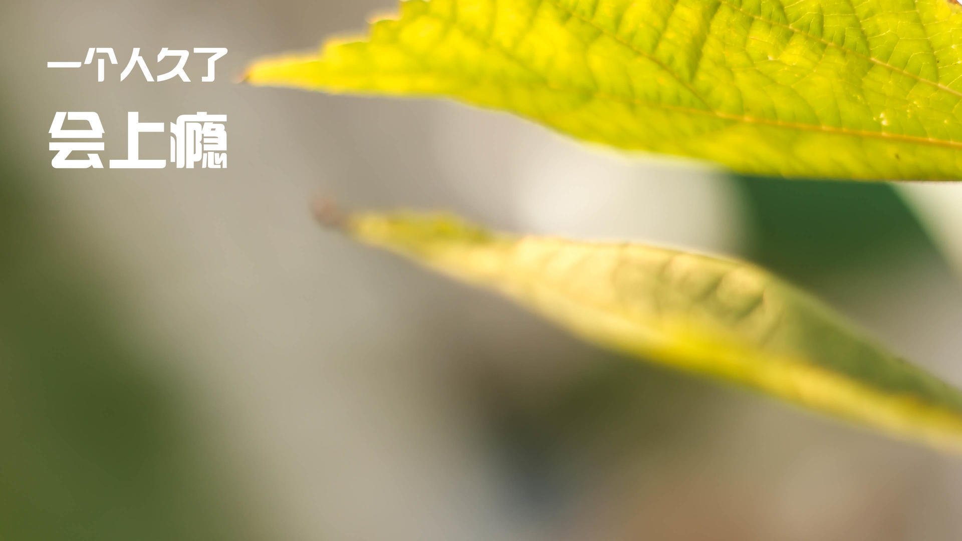 欧国联比赛：克里米亚队击败梦寐以求德国队，欧国联战绩