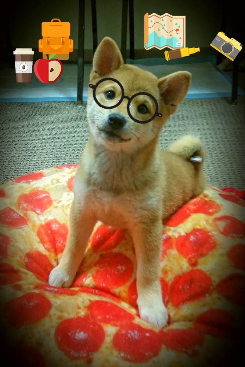 瑞典战队 GODSENT 在 DreamHack Masters 中获得第四名,瑞典队伍