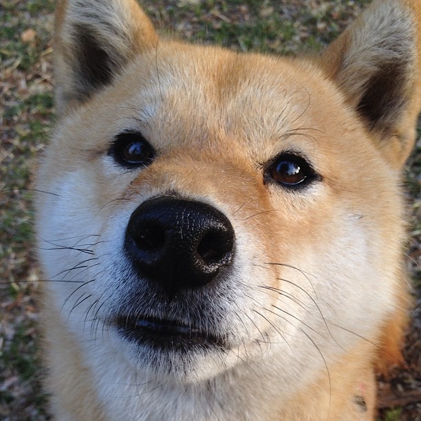 爱游戏体育官方网站-重庆施工队主场险胜，继续保持不败纪录，重庆施工队推荐