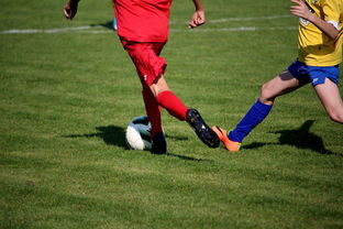 爱游戏官方网站-世界青少年自行车赛中国骑手再创佳绩，2020全国青少年自行车锦标赛