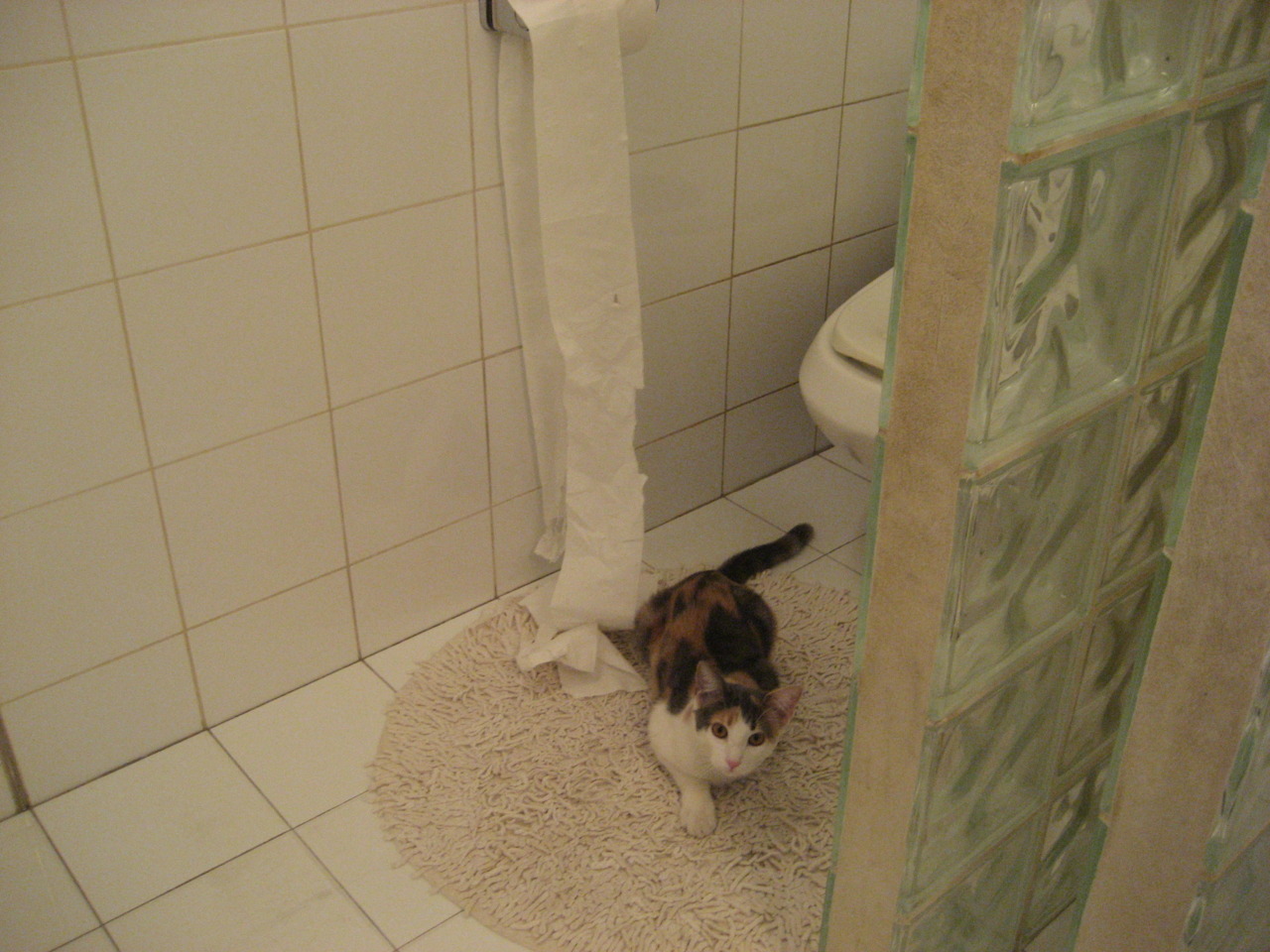 爱游戏平台-农村地区体育设施使用率评估与提升策略，农村地区体育设施使用率评估与提升策略研究