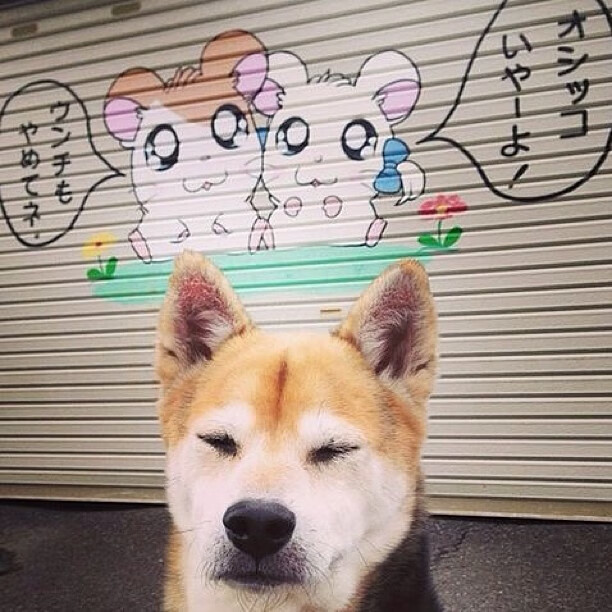 篮球专项耐力训练体系构建与应用研究,篮球耐力素质