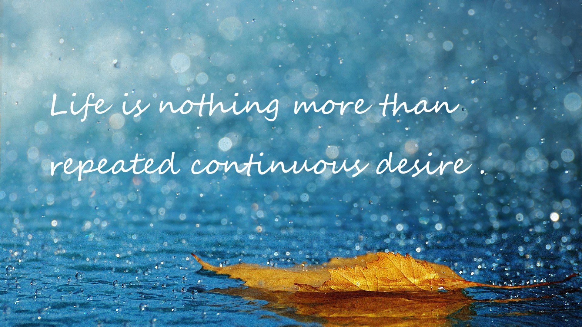 英超球队基于GPS数据制定个性化体能恢复方案,英超体能测试