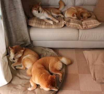 掘金组织内部赛模拟真实比赛节奏,掘金团队