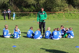 爱游戏官方-欧洲杯总冠军之争：战术智慧与个人能力的较量，欧洲杯冠军百度百科