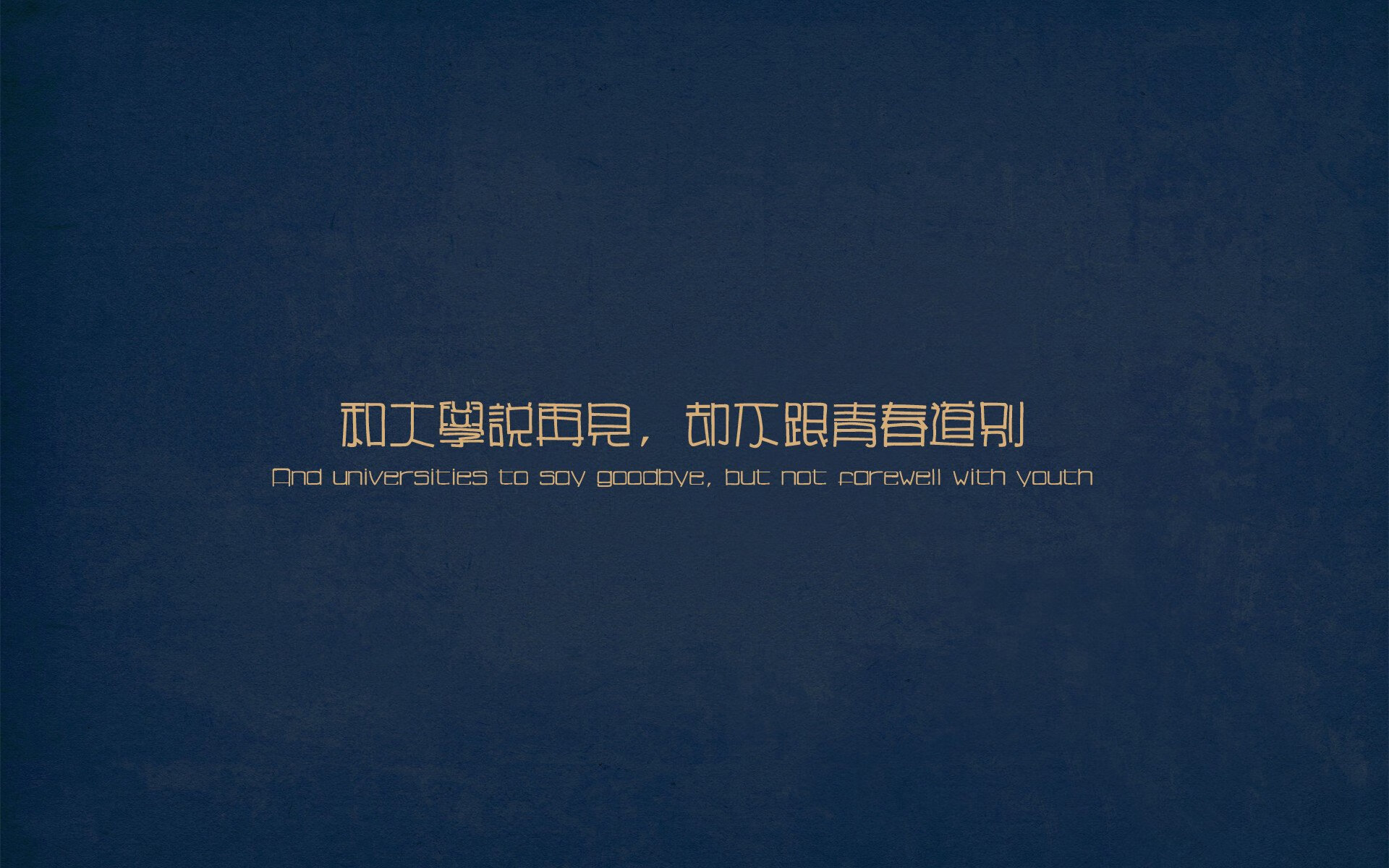 波兰女篮在欧洲锦标赛中展现出色实力,期待夺牌,波兰队欧洲杯战绩