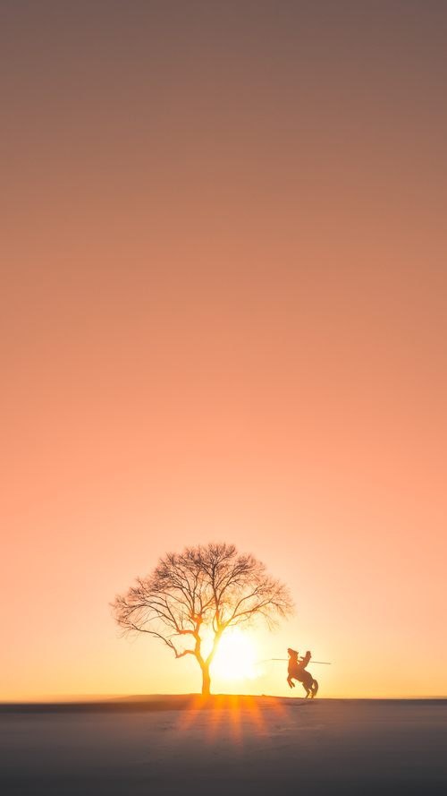 爱游戏 电竞-自由泳长距离奥地利耐力出众，奥运自由泳最慢记录